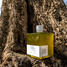 Load image into Gallery viewer, Bottiglia olio extravergine d'oliva tradizionale a forma di cubo 500ml sotto un tronco d'albero