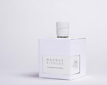 Load image into Gallery viewer, Bottiglia olio extravergine d'oliva tradizionale a forma di cubo 250ml